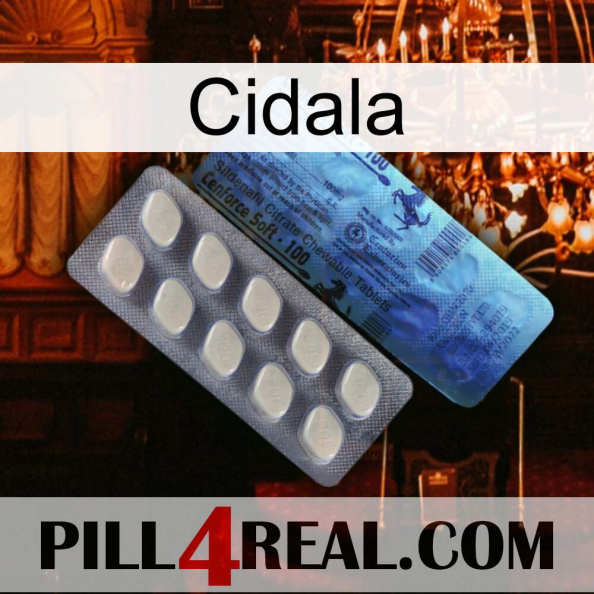 Cidala 34